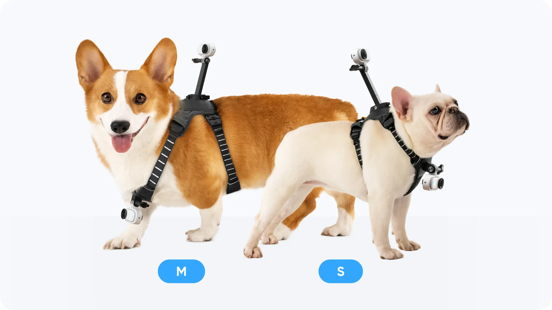 Montage Pet Harness Med main image 0